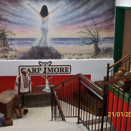 Hotel Carpymore Biograd na Moru Kültér fotó